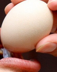 Ăn trứng sống có tốt không